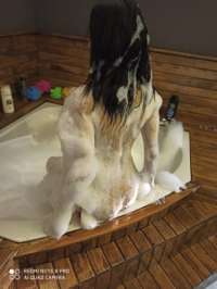 Zarif ve Hevesli Türk Escort Numaraları - İsteklerinizi Karşılamaya Hazır!